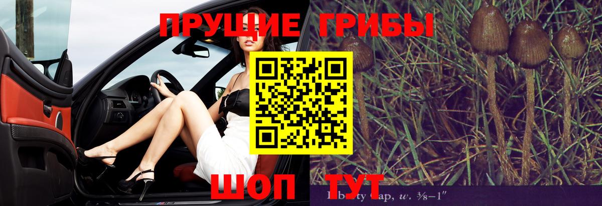 цены наркотик  Псилоцибиновые грибы Cubensis  Вход с VPN  Псилоцибиновые грибы прущие грибы  Тосно 