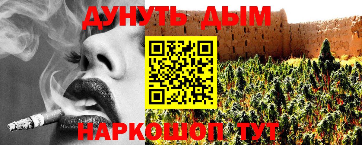 Канабис SATIVA & INDICA Тосно